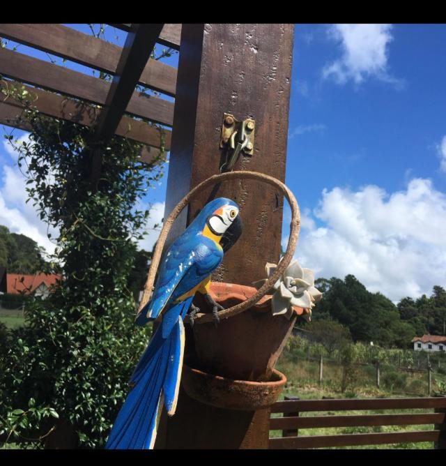 São Francisco de Paula Casa Da Serra المظهر الخارجي الصورة